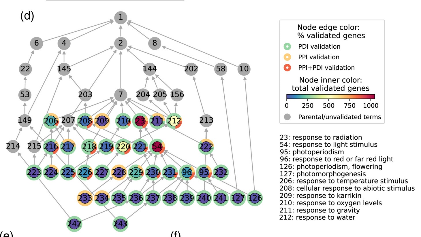 Gene function networks